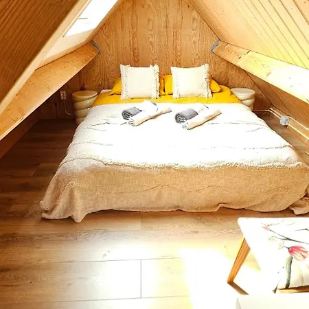 Bulbs & 노르트베이크