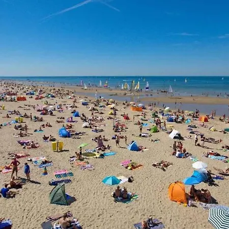 Vakantiehuis Bulbs & Noordwijk