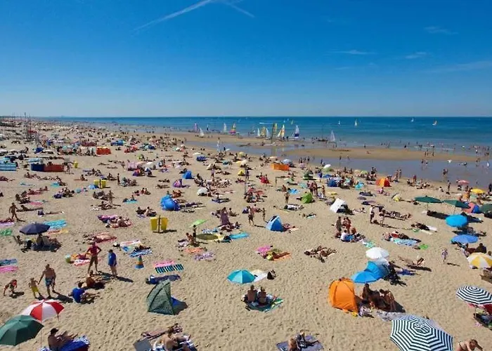 Vakantiehuis Bulbs & Noordwijk