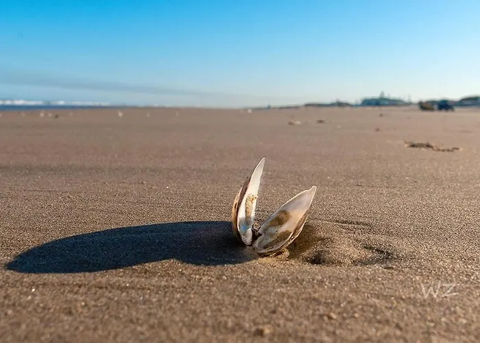 Bulbs & Dom wakacyjny *